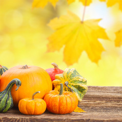 Similar image 11900049