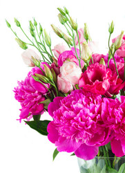 Similar image 11898296