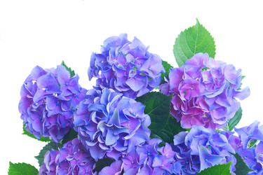 Similar image 11898340