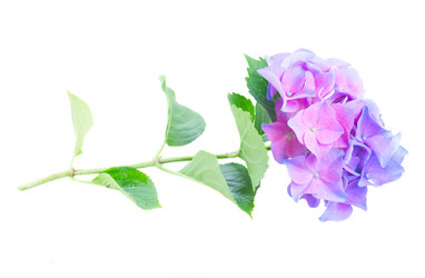 Similar image 11898342