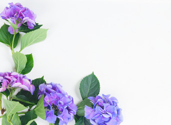 Similar image 11898498