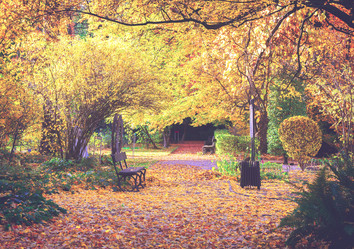 Similar image 11898257