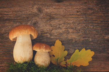 Similar image 11898500