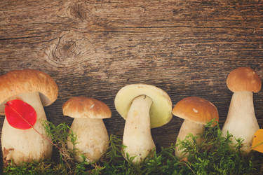 Similar image 11898518