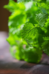 Similar image 11890609