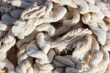 Similar image 11917215