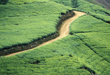 Similar image 11924235