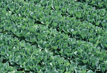 Similar image 11924236