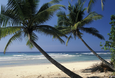 Similar image 11924238