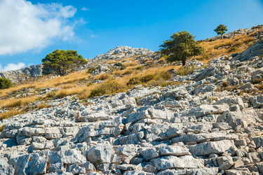 Similar image 11894207