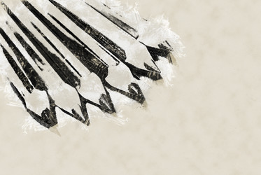 Similar image 11894260