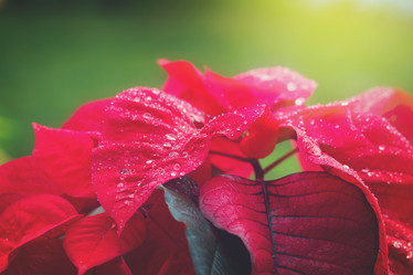 Similar image 11899760