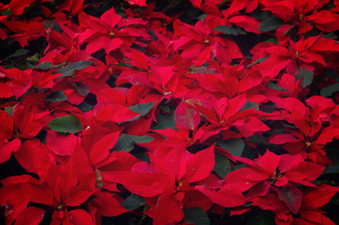 Similar image 11899726