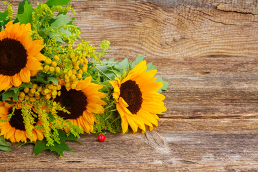 Similar image 11899816