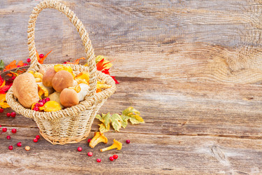 Similar image 11894812