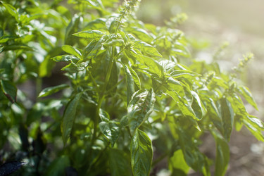 Similar image 11890663