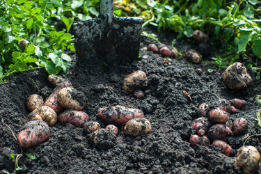 Similar image 11890684