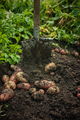 Similar image 11890685