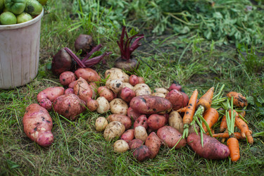 Similar image 11890931