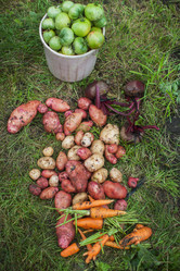 Similar image 11890960