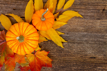 Similar image 11894759