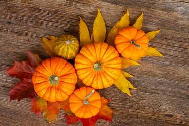 Similar image 11899923