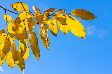 Similar image 11894736