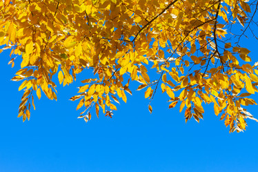 Similar image 11899554