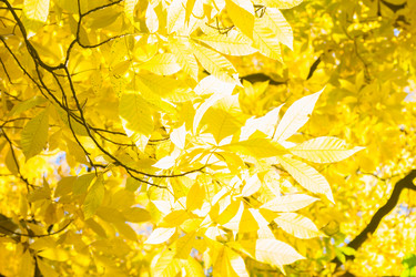 Similar image 11900329