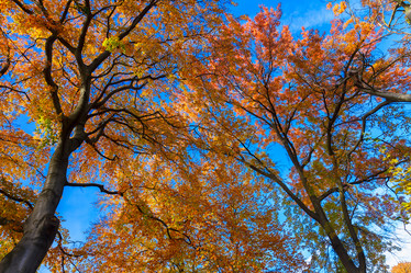 Similar image 11899641