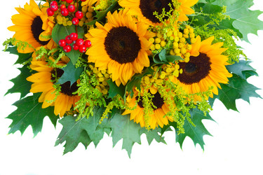 Similar image 11894760