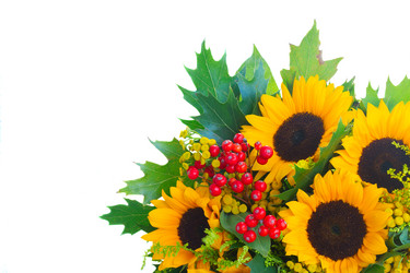 Similar image 11898344