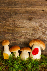 Similar image 11894922