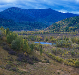 Similar image 11890423