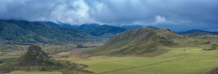 Similar image 11890449