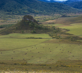 Similar image 11890627