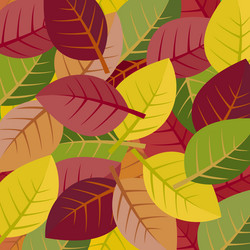 Similar image 11893748