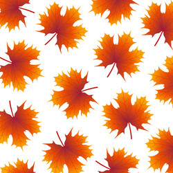 Similar image 11893728