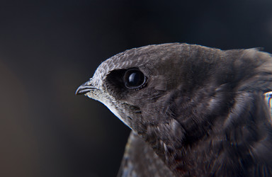 Similar image 11924280