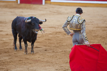 Similar image 11924282