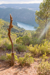 Similar image 11924259
