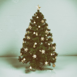 Similar image 11917159