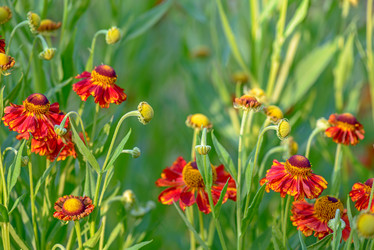 Similar image 11887959