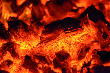 Similar image 11887965