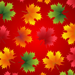 Similar image 11893734