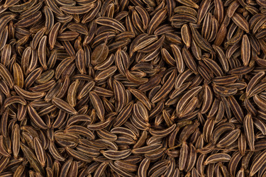 Similar image 11902856