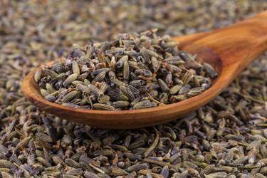 Similar image 11902872