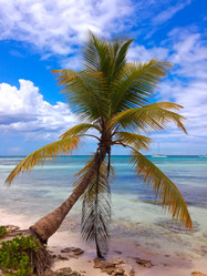 Similar image 11896197