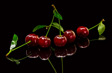 Similar image 11896199