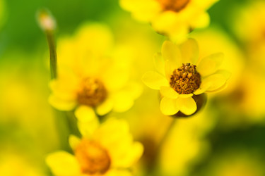 Similar image 11903247